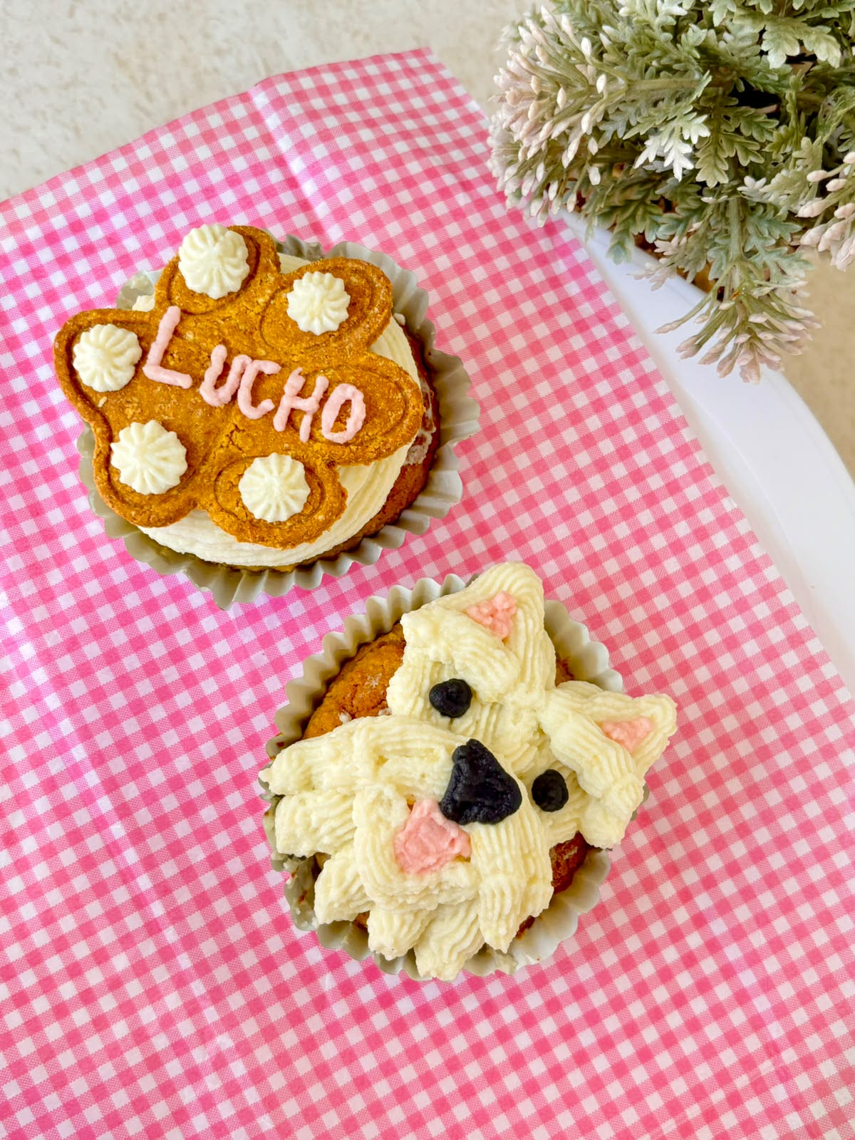 Pupcakes Lucho
